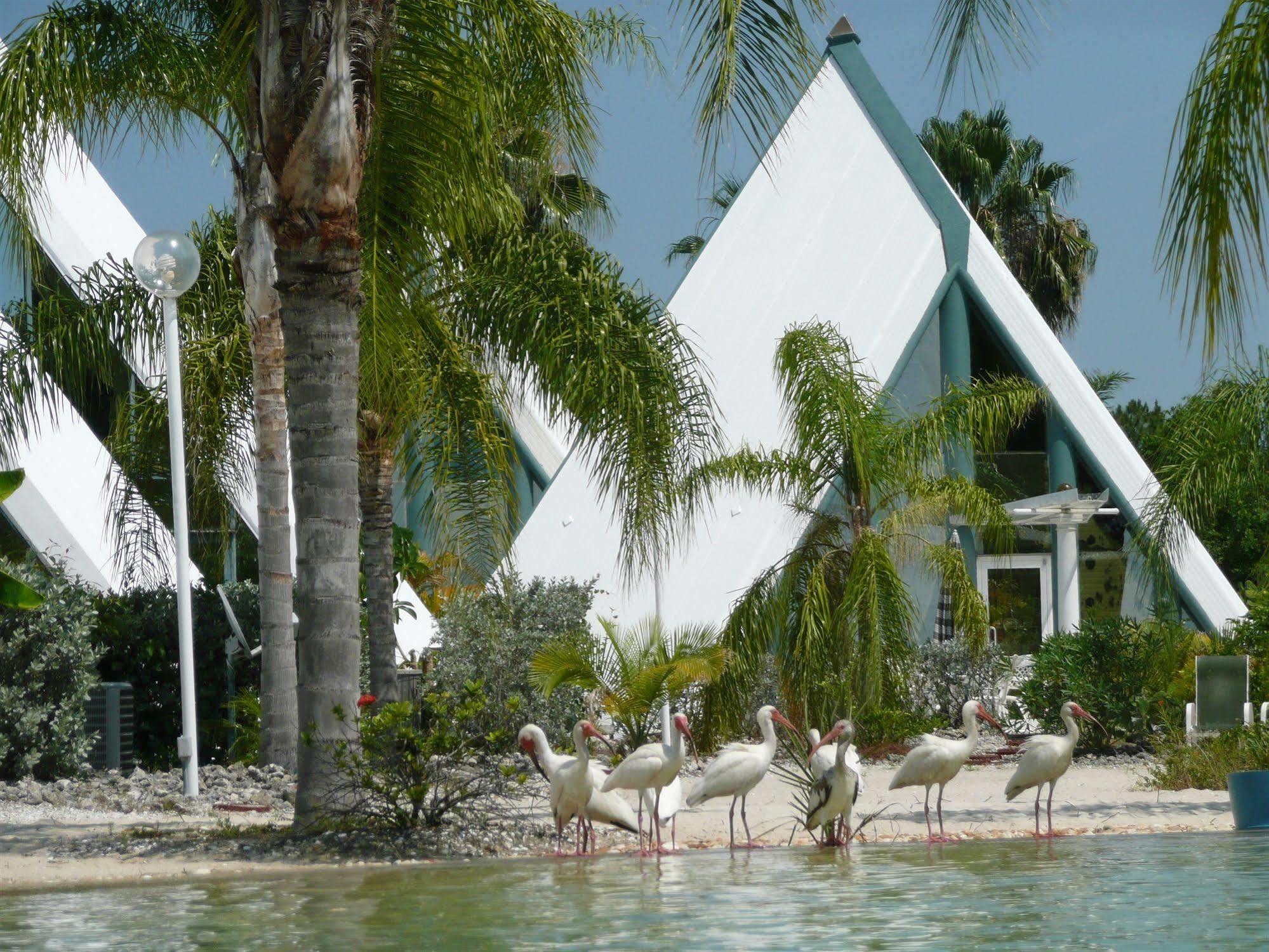 Pyramids In Florida Hotel Estero Exterior photo